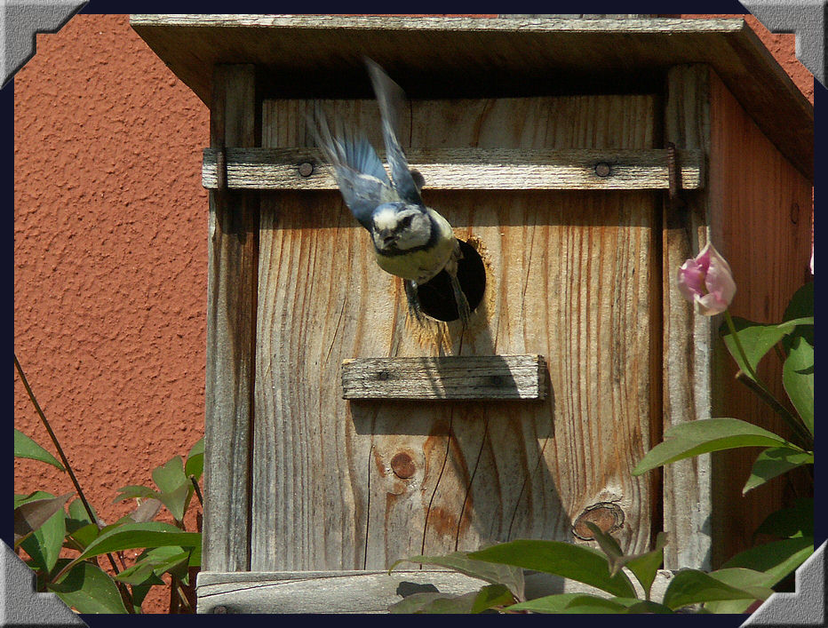 Unerm�tlich und schneller als eine 2000-stel
