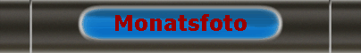 Monatsfoto