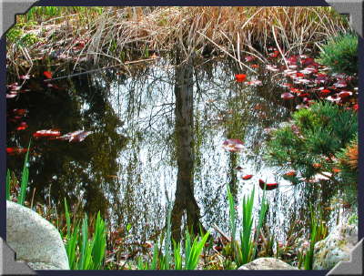 April 04 2