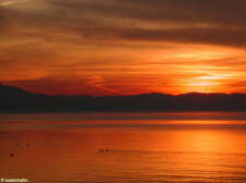 Bodensee 13
