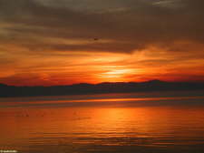 Bodensee 14