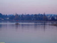 Bodensee  2