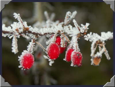 Januar 05 2