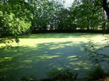 Traumsee 02