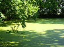 Traumsee 03