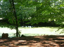 Traumsee 39